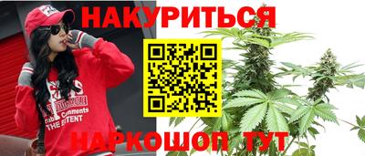 шишки Можайск
