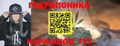 шишки Можайск