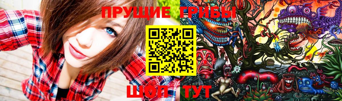 Псилоцибиновые грибы Cubensis Чита